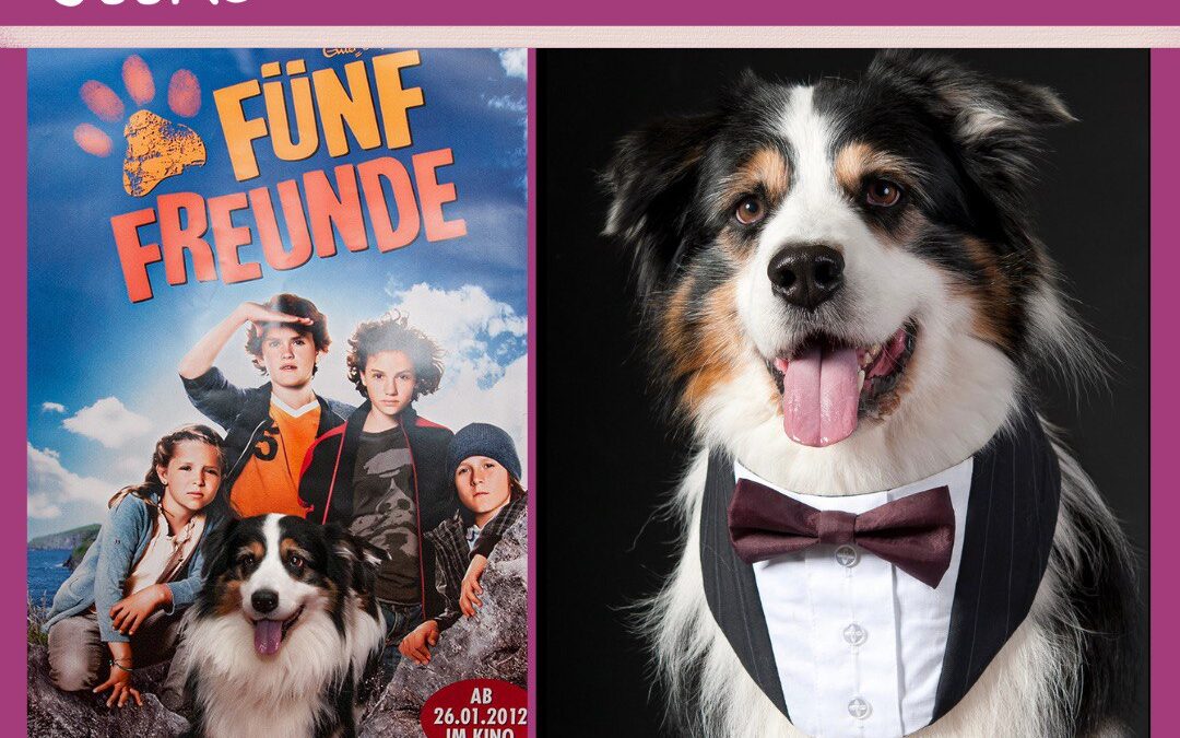 #29 Filmhund Timmy: Alltagstraining für echte Stars