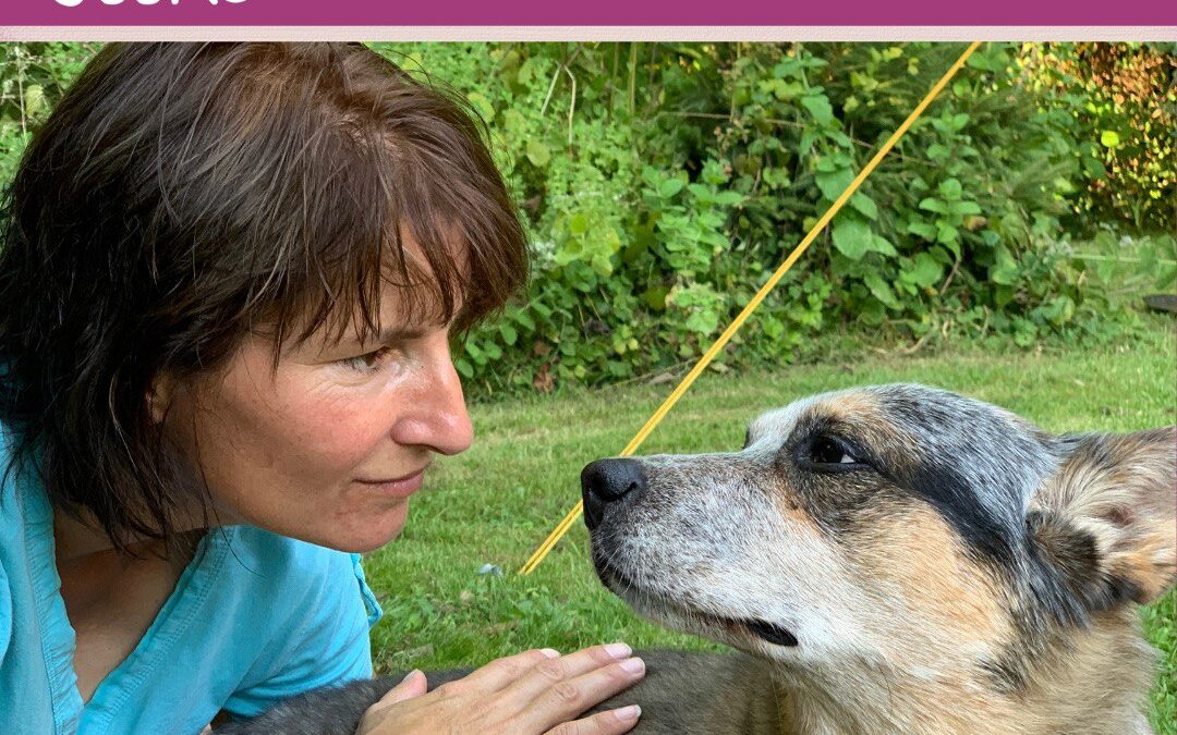 #52 Kommunikation mit deinem Hund – Körpersprache verstehen