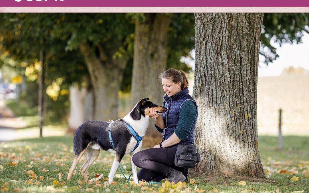 #17 Verhaltenstherapie: Mehr als nur Hundetraining