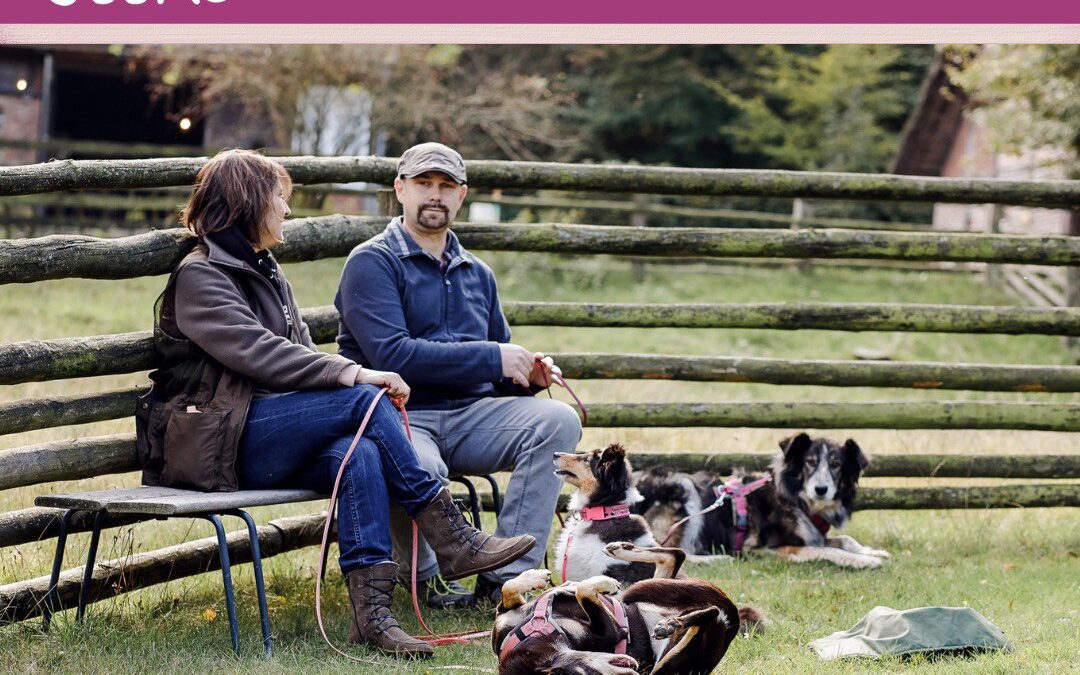 #1 15 Jahre Hundetraining: Gerd und Sylvia berichten